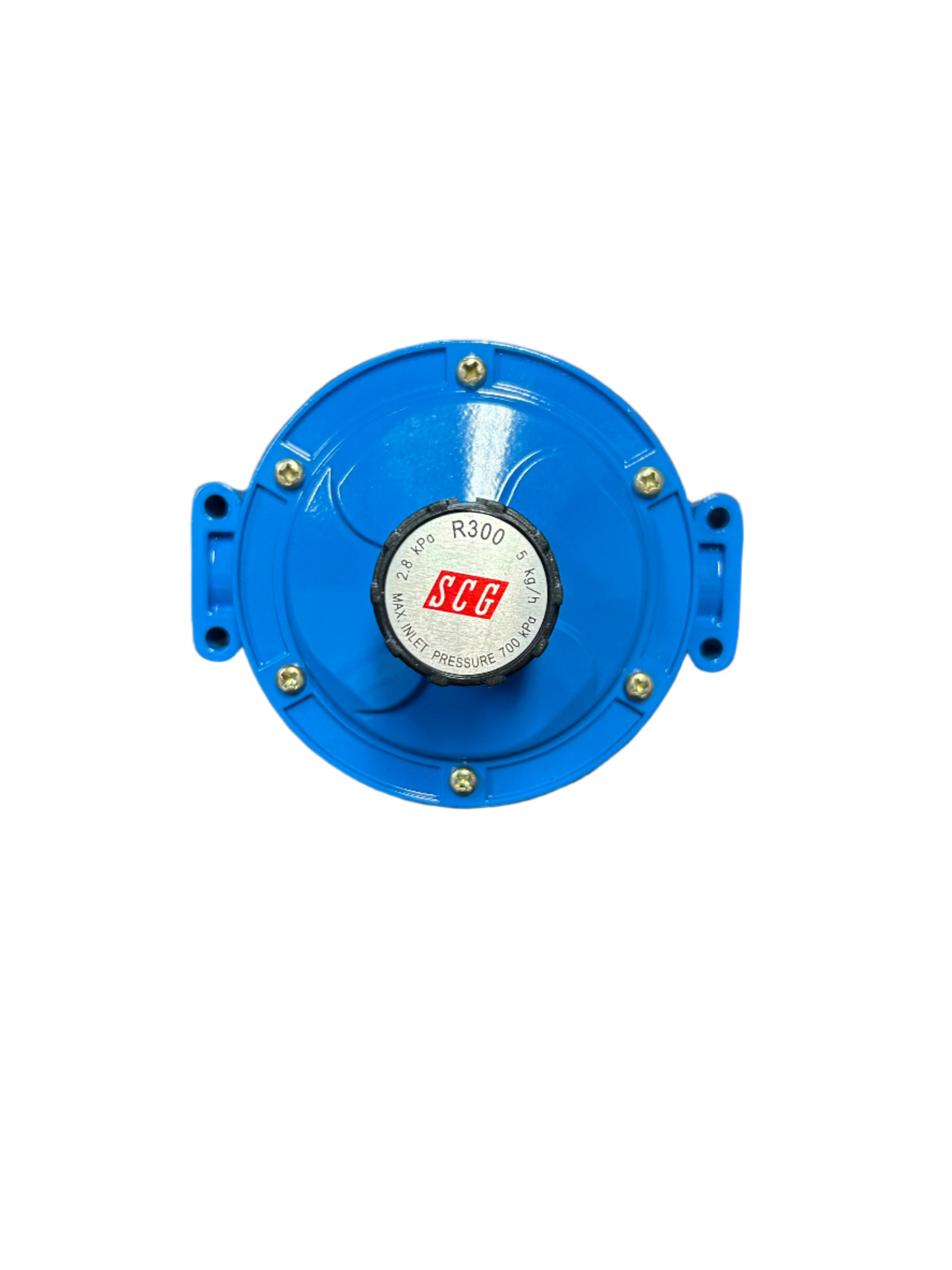 5KG/H REGULATOR